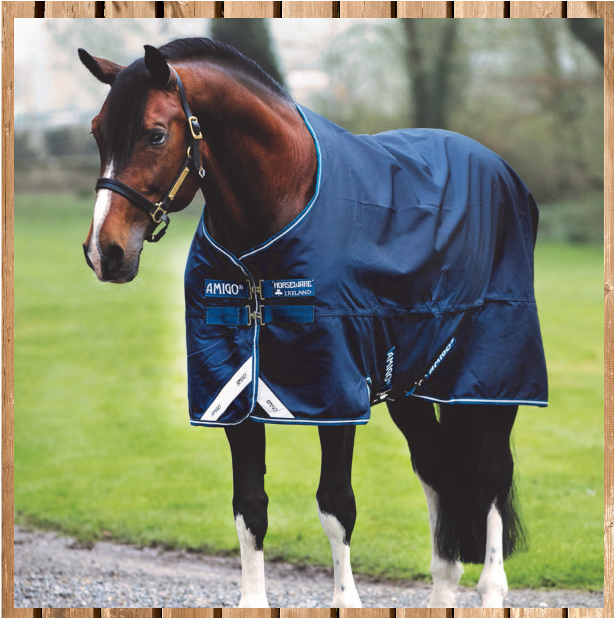 Horseware Amigo Bravo Heavy, 400g, navy, 2